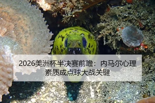 2026美洲杯半决赛前瞻：内马尔心理素质成点球大战关键